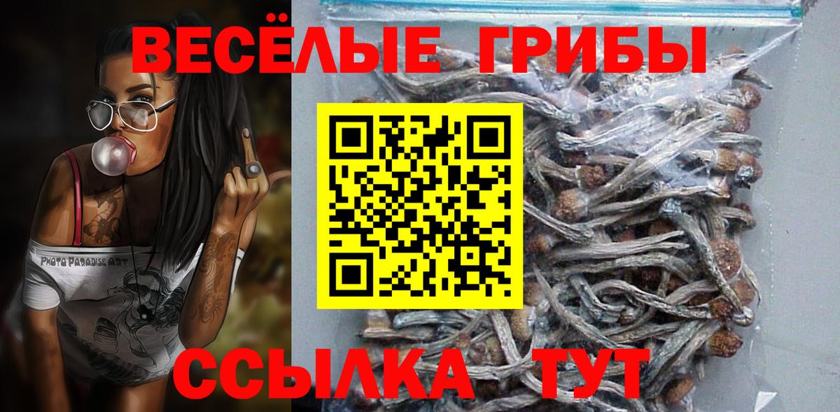 Псилоцибиновые грибы Psilocybe Кузнецк