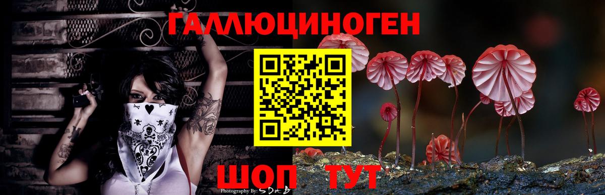Кузнецк  Псилоцибиновые грибы мухоморы  Вход с VPN 